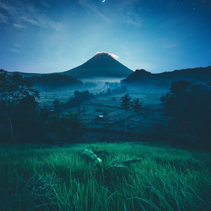 Nature travel hero image